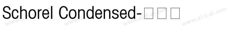 Schorel Condensed字体转换